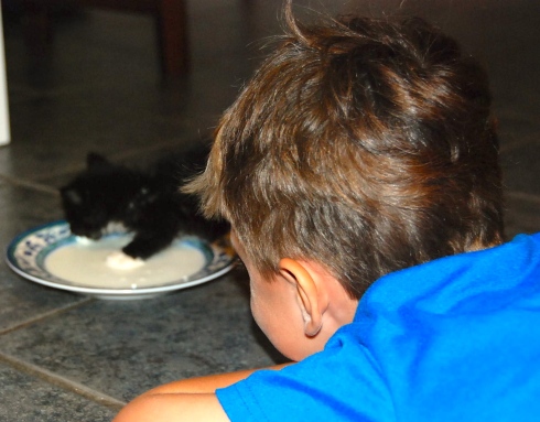 Charlie feeding his kitty.