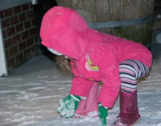 Maddie kept eating the snow.